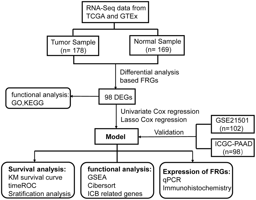 Flowchart of overall study design.