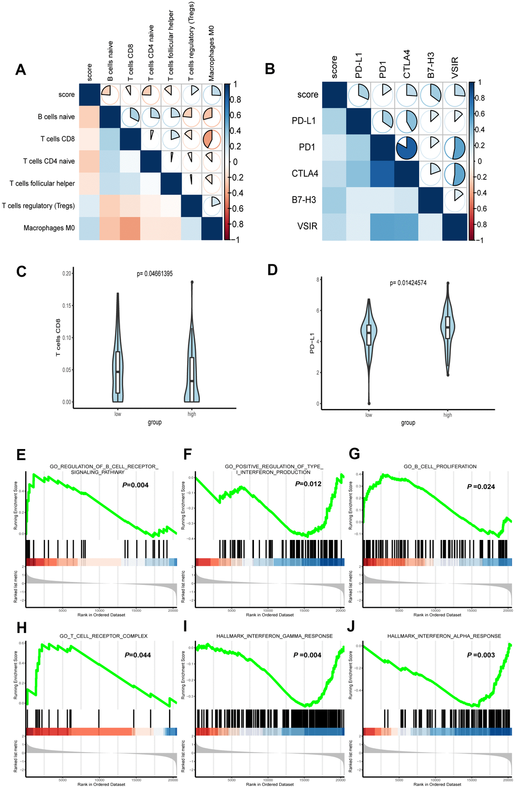 Correlation between immune characteristics with the FRG signature. (A) Spearman correlation analysis was conducted to determine the correlation of immune cells with risk score of the signature. (B) Spearman correlation analysis was conducted to determine the correlation of immune checkpoint inhibitors PD-1, PD-L1, CTLA-4, B7H3, and VSIR with risk score of the signature. (C) CD8+ T cell infiltration in high- and low-risk groups. (D) The expression level of PD-L1 in high- and low-risk groups. (E–J) Representative enriched pathways in immune character associated with FRG signature by GSEA analysis.