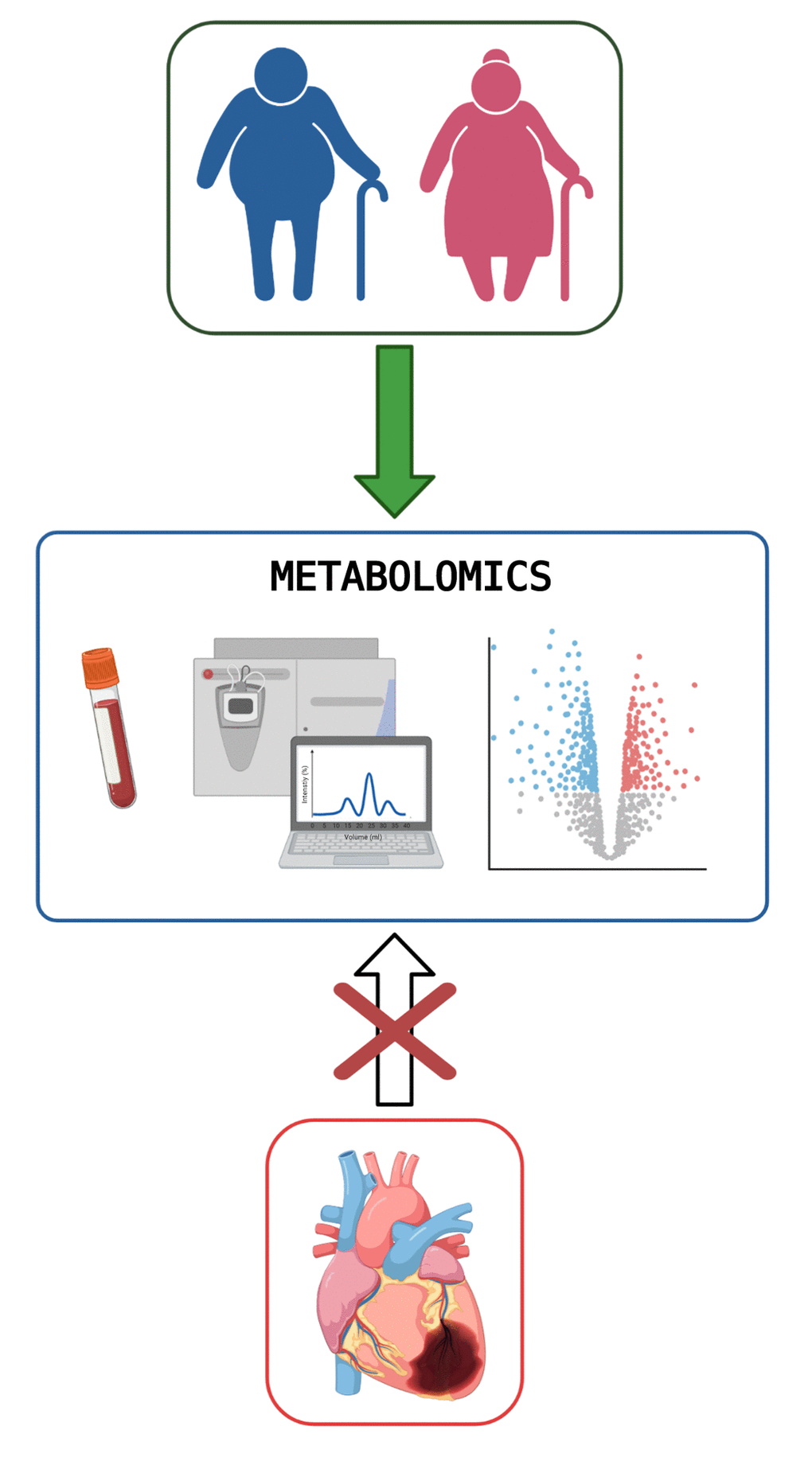 Metabolomics, heart disease and aging. Elderly subjects with heart disease show multi-organ impairment with significant metabolic alterations as confirmed by circulating metabolomics. Aging itself is characterized by metabolic changes in different organs including liver, muscle and adipose tissue resulting in a peculiar plasma metabolic profile (key changes are in fat and amino acid metabolism). Interestingly, the metabolic syndrome further affects the blood metabolome in the older subjects with alterations in amino acid metabolism being central features. Conversely, myocardial ischemic injury does not further alter the plasma metabolomic signature in old (and young) mice. Figure created with BioRender.com.