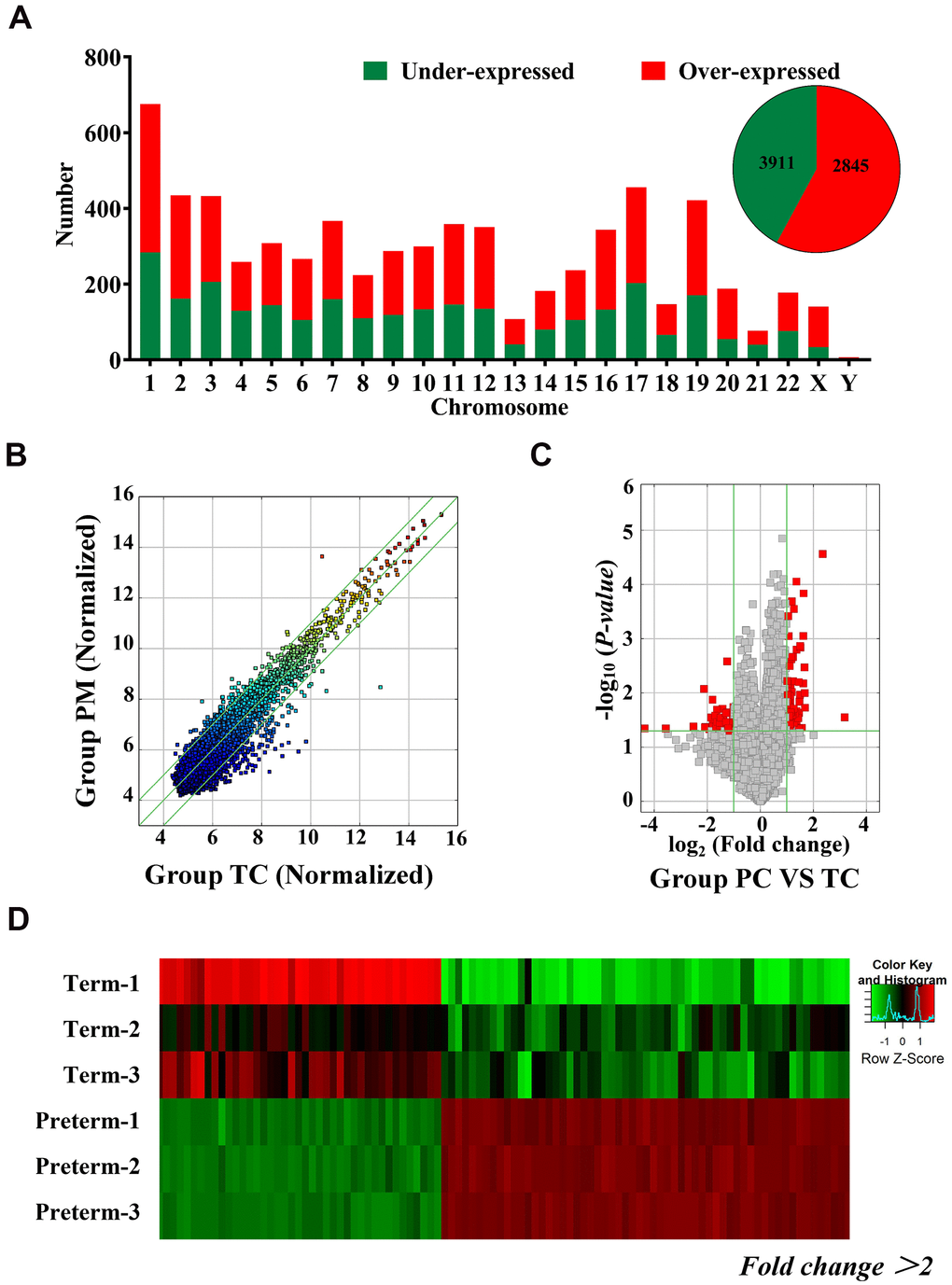 Differentially expressed circRNAs in HC exosomes. (A) A total of 6756 circRNAs were detected, 3911 were upregulated and 2845 were downregulated. Histogram showing the differentially expressed circRNAs in the human chromosome. (B) The X-axis and Y-axis values are normalized signal values (log2 scaling). The green line represents a broken line. Above and below the upper and lower green lines, the circRNAs exhibited more than 2.0-fold changes between the preterm milk (PM) and term milk (TM) groups. (C) The red dots in the volcano map represent statistically significant differentially expressed circRNAs. (D) Heat map of circRNA results from the PC and TC groups. Red bars indicate higher expression, and green bars indicate lower expression.