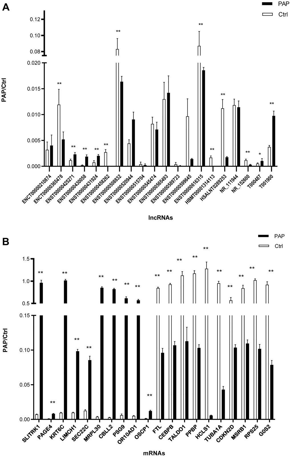 Validation of DE lncRNAs and mRNAs. (A) DE lncRNAs were confirmed using qRT-PCR. (B) DE mRNAs were confirmed using qRT-PCR. N = 5/group, *P **P 