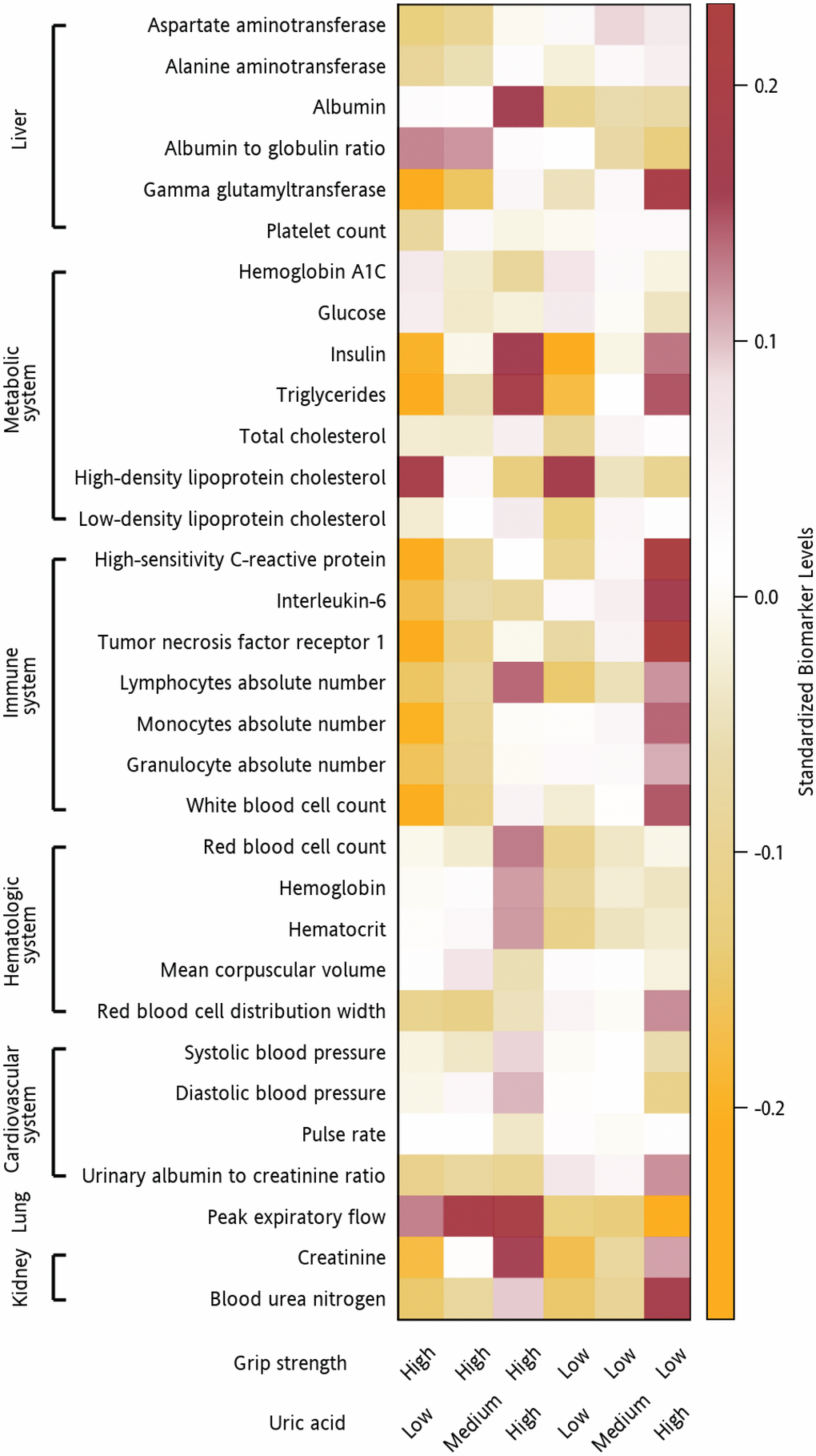 Clinical indicators of biological aging in participants with different serum uric acid levels and grip strengths. Heatmap of the adjusted mean levels of clinical indicators of biological aging organized by the physiological system (liver, metabolic system, cardiovascular system, lungs, kidneys, immune system, and hematologic system) in participants with different combinations of serum uric acid levels and grip strengths. The original data were standardized (non-normally distributed data were normalized first). A value of 1 indicates that the mean value for the group was one standard deviation higher than the mean value for the entire cohort. The values are represented by different colors. Brown indicates a higher mean biomarker value for that group than the mean for the entire cohort, whereas orange indicates a lower mean biomarker value for that group than the mean for the entire cohort.