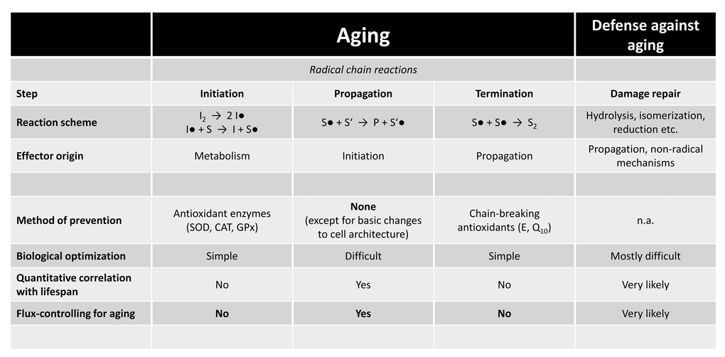 Flux control in radical chain reactions in relation to biological aging. Radical chain reactions have three kinetically independent steps: initiation, propagation and termination. The prevention of initiation is the designated task of antioxidant enzymes like SOD. Accelerating termination is the designated task of chain-breaking antioxidants like vitamin E. Propagation, though, has never been shown to be specifically influenced by any biomolecule [3]. It is only modulated by the availability of substrate (S) and the presence (or absence) of chain-transfer catalysts, which increase the propagation constant [3,8]. The two most robust evolutionary adaptations of long-lived animals, lowered polyunsaturated fatty acids [4], and fewer intramembrane cysteine residues [7], both slow down propagation, but have no direct connection to initiation or termination [3,8]. Damage repair is depicted for comparison, as one of several different defense strategies against aging. Very likely, damage repair also exerts flux control over aging (consider rapamycin), but the kinetically limiting steps are essentially unknown (e.g., recognition vs. excision vs. replacement). Abbreviations: I•, initiator radical; S•, substrate radical; P, product; SOD, superoxide dismutase; CAT, catalase; GPx, glutathione peroxidase; E, tocopherol; Q10, ubiquinone.
