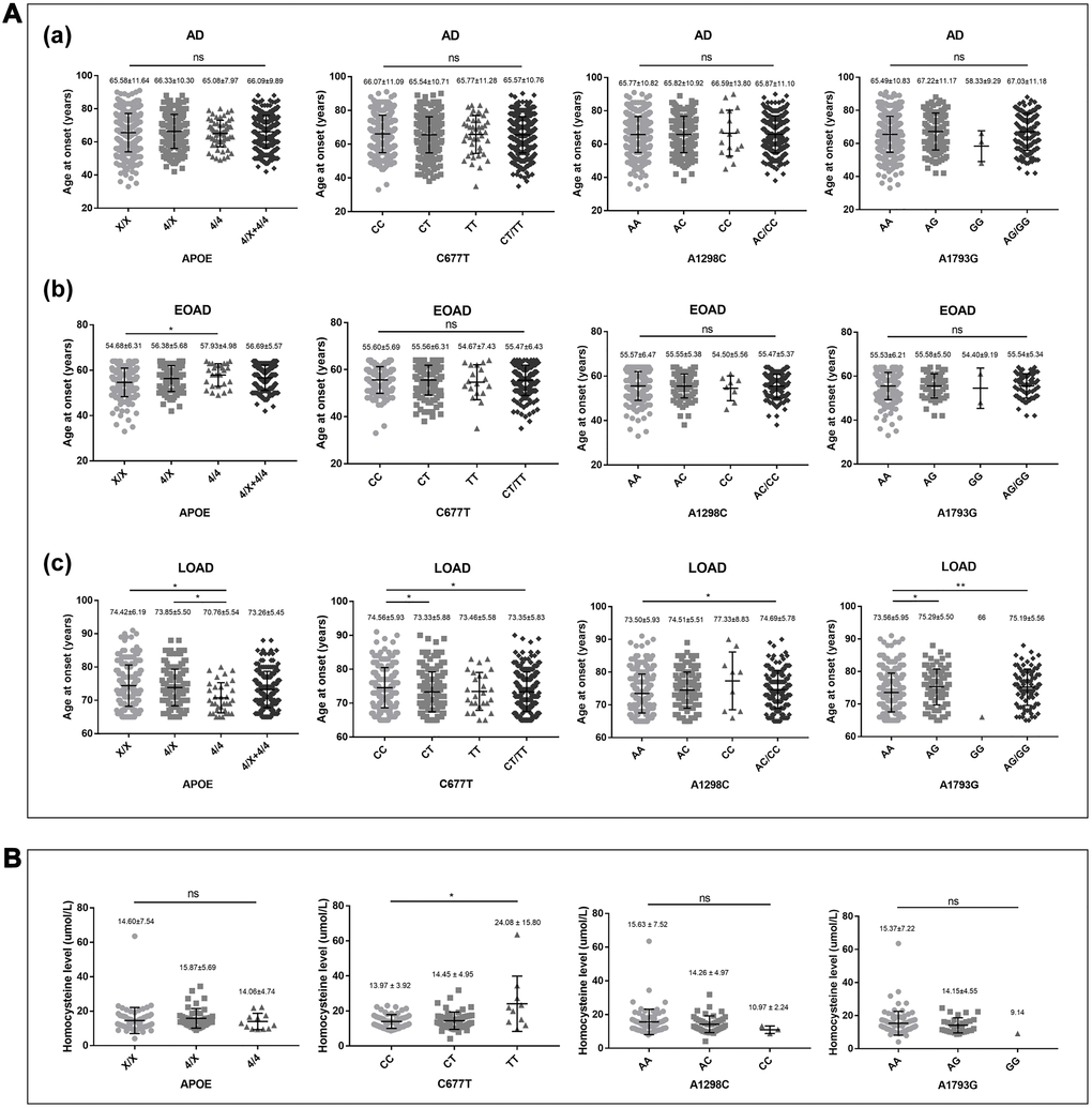 Correlations of AAO and homocysteine with APOE4, MTHFR C667T, A1298C, and A1793G genotypes in AD patients. (A) Correlation of AAO with APOE4, MTHFR C667T, A1298C, and A1793G genotypes in (a) AD (N = 721), (b) EOAD (N = 318), and (c) LOAD (N = 403). (B) Correlation of homocysteine with APOE4, MTHFR C667T, A1298C, and A1793G genotypes in AD (N = 121). Descriptive statistics were described as the mean ± standard deviation. Statistics performed by Kruskal-Wallis test, *p **p 
