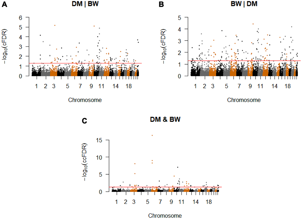 Conditional Manhattan plot. Conditional Manhattan plot of conditional -log10(FDR) values for (A) T2D given BW (T2D|BW), (B) BW given T2D (BW|T2D), (C) T2D and BW. The red line marks the conditional -log10(FDR) values of 1.3 corresponds to a cFDR ≤ 0.05.