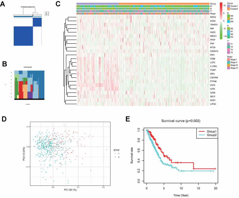 Two clusters in the TCGA LUAD cohort with distinct clinical outcomes and clinicopathological features identified by consensus clustering. (A) Consensus clustering matrix at k=2. (B) Tracking plot at k=2 to k=10 by consensus clustering. (C) Heatmap of interferon gamma response gene expression for two clusters (1 and 2) based on consensus clustering of TCGA LUAD tumor samples, together with the clinical and pathological features (T, N, M, or stage). (D) Principal component analysis (PC1 vs. PC2) of 24 interferon gamma response gene expression pattern in the TCGA LUAD cohort. Two clusters are marked with colors (green and red). (E) Kaplan-Meier overall survival rate curves for two clusters in the TCGA LUAD cohorts. P=0.002 (group 1 vs. group 2).