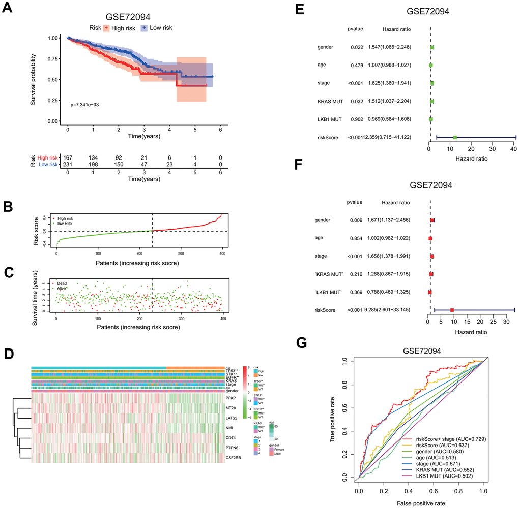 Validation of seven-gene risk signature in an independent LUAD cohort. (A) Kaplan-Meier curves of overall survival of the high or low risk group in the GSE72094 cohort. (B) Risk score distribution in the GSE72094 cohort. (C) Survival time and survival status distribution in the GSE72094 cohort. (D) Heatmap showing the expression level of seven interferon gamma response genes in the low or high risk group in the GSE72094 cohort. Association of various clinical features with two groups (high vs. low risk) were determined. *PE, F) Univariate (E) and multivariate (F) Cox regression analysis of the association between clinical features (gender, age, stage, KRAS or LKB1 mutation), risk score, and patient overall survival in the GSE72094 cohort. Hazard ratio and associated p value are shown. (G) ROC curves for 3-year survival prediction and clinical characteristics, including age, gender, stage, KRAS or LKB1 mutation in the GSE72094 cohort.