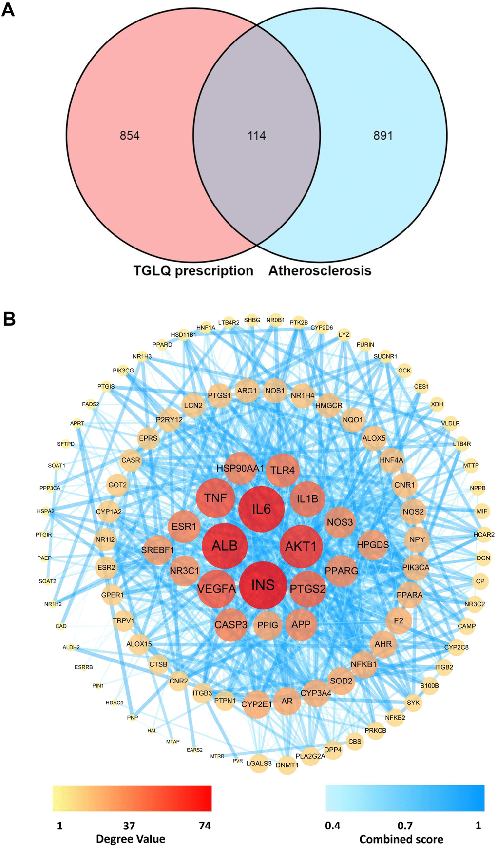 Acquirement of the key targets between TGLQ putative targets and AS therapeutic targets through network analysis. (A) Venn diagram of common targets of TGLQ and AS; (B) Acquirement of the 63 key targets between TGLQ and AS by network topological analysis.