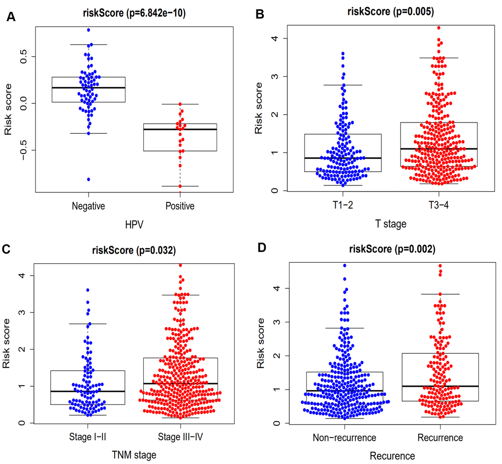 The association between our prognostic signature and HPV, T stage, TNM stage and recurrence. (A) The HPV-positive patients exhibited a lower risk score compared with HPV-negative patients (p = 6.842 x 10-5). (B) The immune-related signature risk scores for T3 and 4 stage HNSCC patients were notably higher compared with that of T1 and 2 patients (p = 0.005). (C) The immune-related signature risk scores for stage III & IV HNSCC patients were notably higher compared with that of stage I & II patients (p = 0.032). (D) Patients with recurrence of HNSCC have higher risk scores compared with those having no recurrence (p = 0.002).