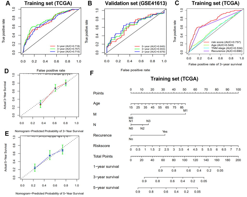 Receiver operating characteristic curve (ROC) analysis and nomogram construction predicted overall survival using risk score. (A, B) ROC analysis for predicting 2-, 3- and 5-year survival times in the training and validation sets. (C) ROC analysis between risk score and clinicopathological characteristics in the training set. (D, E) Calibration curves of the nomogram for predicting the probability of 3- and 5-year survival. (F) A nomogram to quantitatively predict 1-, 2-, and 3-year survival for HNSCC patients based on the prognostic signature and clinicopathological characteristics of the training set.