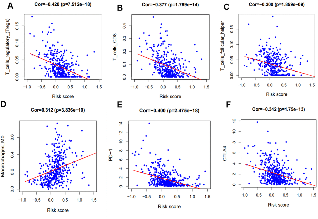 Correlation between our prognostic signature and that of tumor-infiltrating immune cells and immune checkpoint molecules. (A) Association between risk score and T regulatory cells (Tregs). (B) Association between risk score and activated Mast cells. (C) Association between risk score and M0 macrophages. (D) Association between risk score and CTLA-4. (E) Association between risk score and PD-1. (F) Association between risk score and PD-L1.