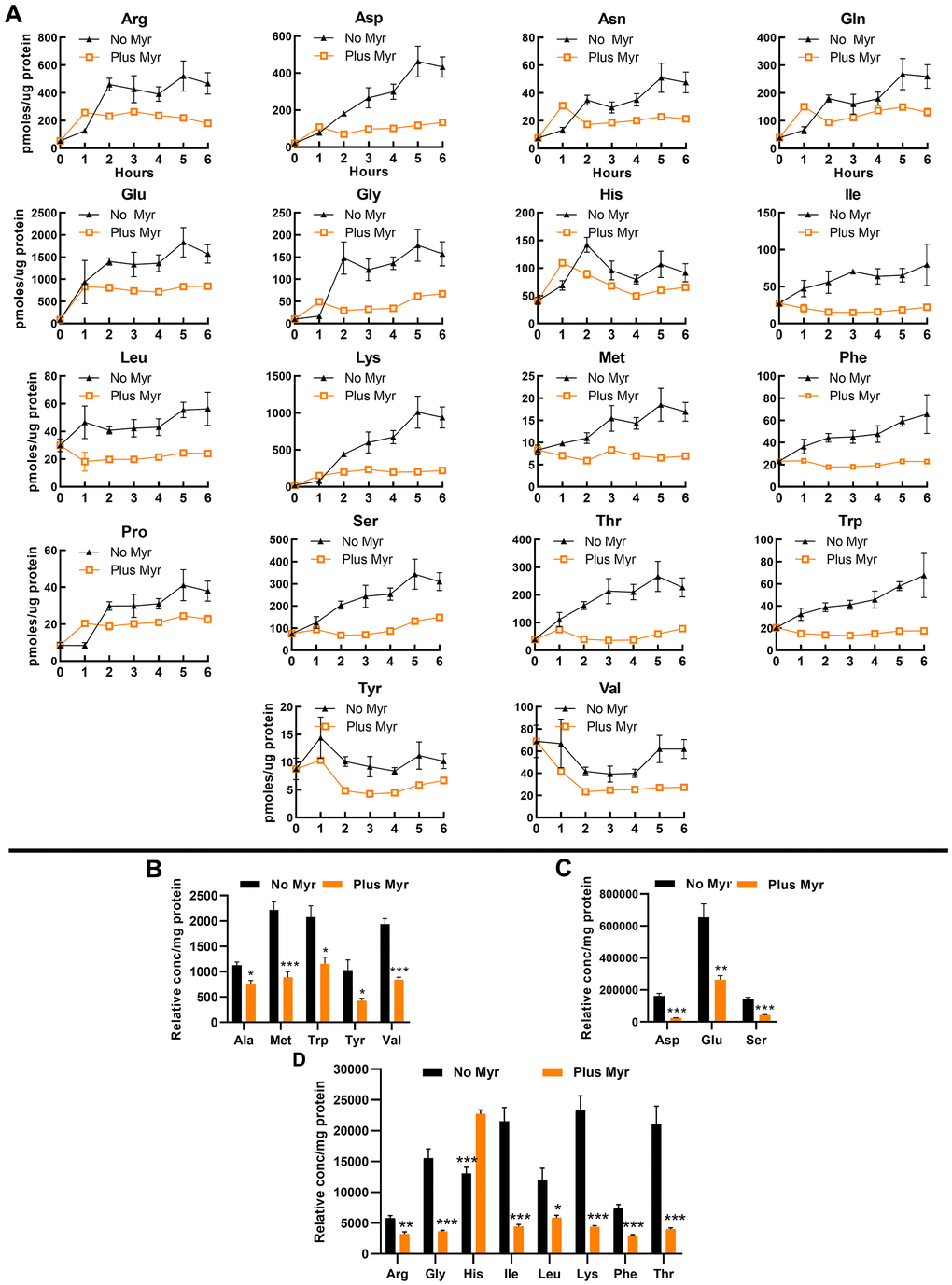 Myr treatment maintains amino acid pools at a low level. (A) Amino acid levels in Myr-treated or untreated cells were measured over a 6 h time span following inoculation of stationary phase cells into fresh SDC medium. Metabolites were analyzed by using the heat-extraction, fluorescent-derivatization procedure. All data were statistically significant by AUC (95% CI: values for each pair of curves do not overlap; error bars are SEM). (B–D) Amino acid levels analyzed by using the GC-MS procedure. Amino acids are grouped into three panels according to their relative concentration. Significance determined by the Student’s t-test and error bars are SEM.