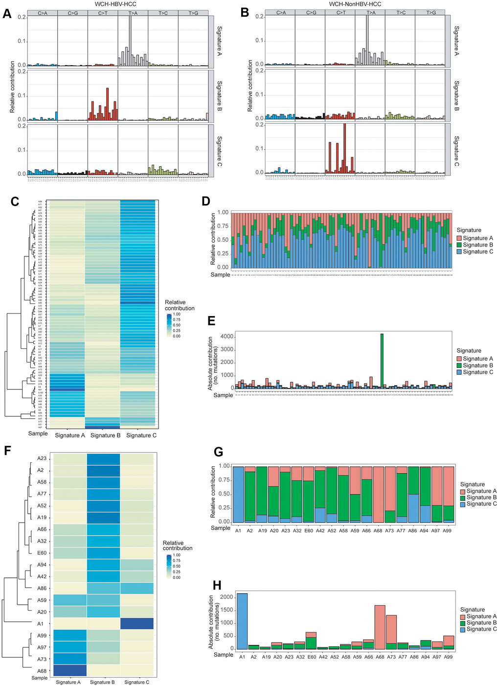 Identification of mutation Signatures in the WCH group. (A) Patterns of 3 signatures (Signatures A–C) identified in the WCH-HBV-HCC group. (B) Patterns of 3 signatures (Signatures A–C) identified in the WCH-NonHBV-HCC group. (C) The distribution of mutation Signatures that were identified in the WCH-HBV-HCC group. (D) The relative contribution of the 3 Signatures in samples from the WCH-HBV-HCC group. (E) The contributions of mutational signatures to tumors in the WCH-HBV-HCC group. The sample names are displayed on the horizontal axis, whereas the vertical axis depicts the number of mutations of samples in the WCH-HBV-HCC group. (F) The distribution of mutation Signatures that were identified in the WCH-NonHBV-HCC group. (G) The relative contribution of the 3 Signatures in samples from the WCH-NonHBV-HCC group. (H) The contributions of mutational signatures to tumors in the WCH-NonHBV-HCC group.