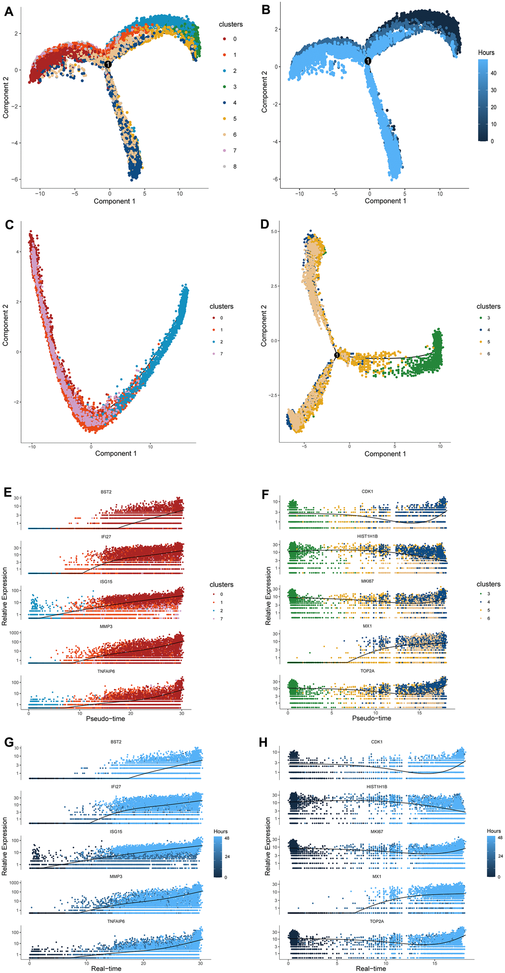 Cell distribution along pseudo-time trajectory and construction of the response-to-inflammation path. (A) A trajectory with three branches and one connecting points was constructed by Monocle 2. (B) The time-line of the pseudo-time trajectory; the darker blue indicates earlier pseudo-time. (C) The distribution of cluster2, 1, 7, and 0 along the pseudo-time trajectory. These cells compromised a complete evolutionary route without branches. (D) The distribution of cluster3, 5, 6, and 4 along the pseudo-time trajectory. These cells compromised a different evolutionary route from the former with differentiated branches. (E–G) The expression level of specific representative genes of terminal cluster 0 in cluster2, 1, 7, and 0 are highlighted along the response-to-inflammation path and real-time line. (F–H) The expression level of specific representative genes of terminal cluster 4 in cluster3, 5, 6, and 4 along the atypical response-to-inflammation path and real-time line.