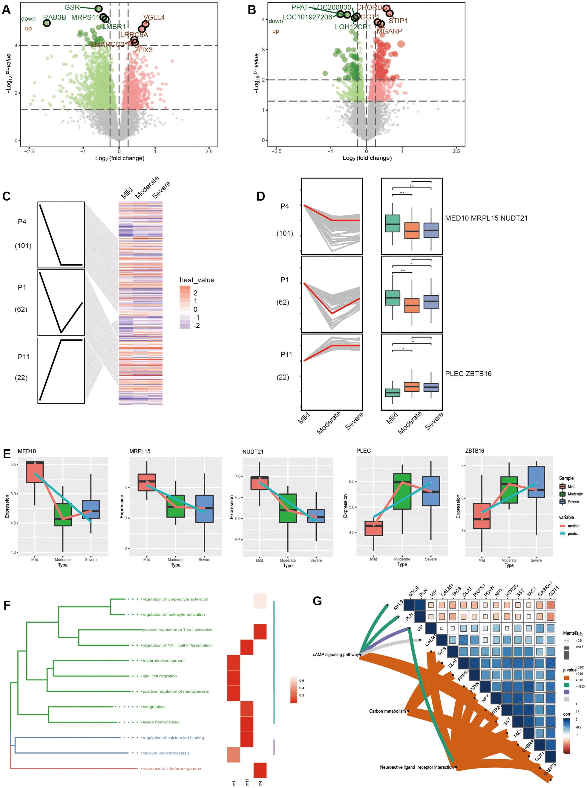 class="figure-viewer-img"