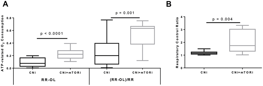 (A) Boxplot representation of the ATP-dependent O2 consumption, measured in peripheral blood mononuclear cells (PBMC) from patients treated with calcineurin inhibitor (CNi) or CNi + mTOR inhibitor (CNi+mTORi) as absolute difference between that obtained in the absence and that in the presence of oligomycin (RR-OL) or normalized to basal respiration ((RR-OL)/RR). (B) Boxplot representation of the respiratory control ratio obtained by dividing the oxygen consumption rates measured in PBMCs from patients treated with CNi or CNi+mTORi under resting conditions by that in the presence of oligomycin (RR/OL). Statistical difference was assessed by unpaired student’s t-test.