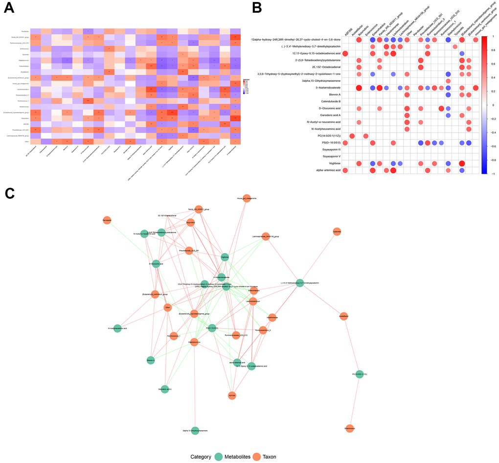 The relationship between changed microbiotas and altered metabolites. (A) Correlation square heatmap, (B) circular heatmap, and (C) the network of associations between the differential OTUs of gut microbes and the differentially expressed metabolites. Red color indicates a positive correlation and the blue color represents a negative correlation. A deeper color indicates a greater degree of correlation (*P P 