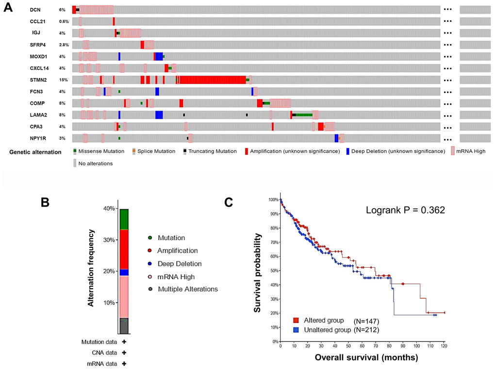 Genetic alternations of the DEGs in HCC patients (cBioPortal). (A) The overview of the genetic alternations occurring in the 12 DEGs in HCC patients from “TCGA, Firehose Legacy” dataset. (B) The summary graph of alternation frequency of the 12 DEGs in HCC patients. (C) The effect of the overall genetic alternations of the DEGs on OS of HCC patients.