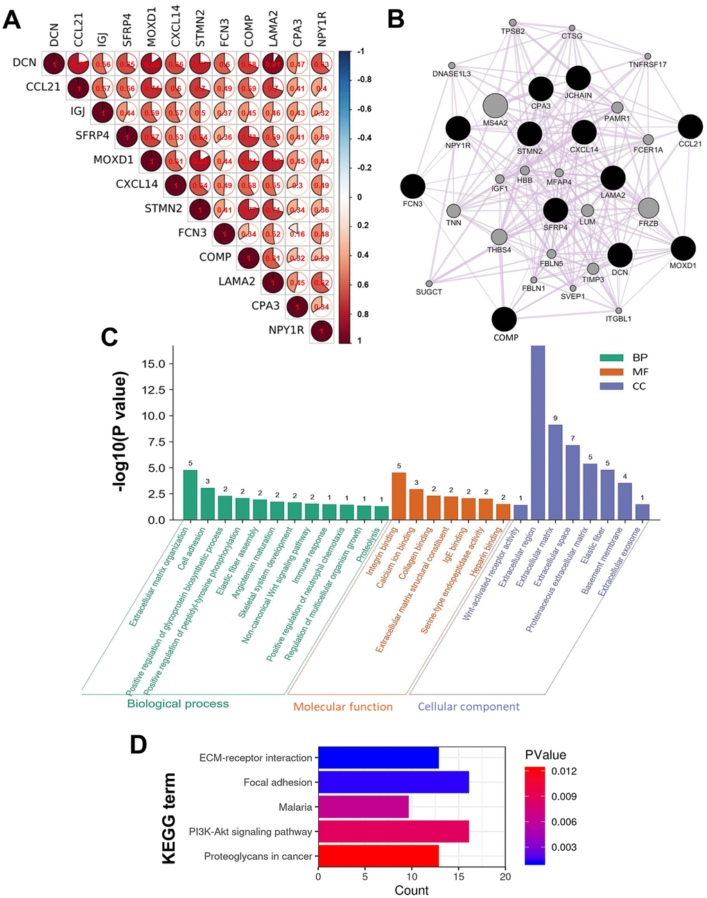 Intergenic correlations, co-expression network, and the biological functions of the DEGs. (A) Intergenic correlations of the 12 DEGs. (B) The co-expression network of the 12 DEGs constructed by GeneMANIA. Edges in the network represent the co-expression relations among genes. The results of (C) GO and (D) KEGG functional enrichment analyses for all the genes in the co-expression network.