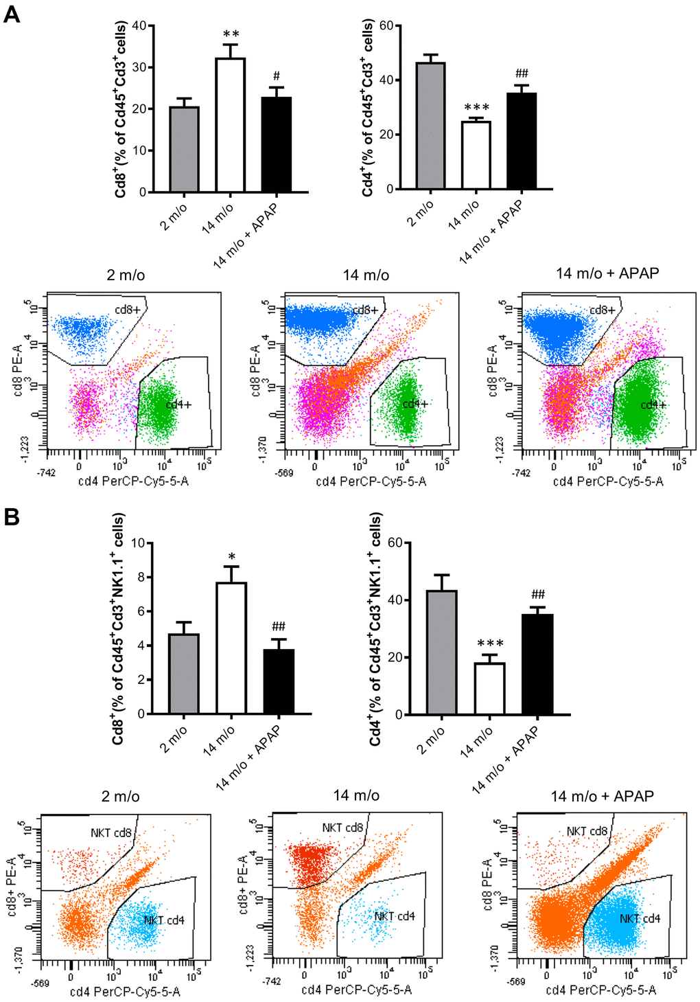 Analysis of lymphoid populations in liver NPCs from 2 m/o, 14 m/o and 14 m/o + APAP mice by flow cytometry. (A) Percentage of Cd8+ (left) and Cd4+ (right) from Cd45+Cd3+ cells and representative images of flow cytometry analysis. (B) Percentage of Cd8+ (left) and Cd4+ (right) from Cd45+Cd3+NK1.1+ cells and representative images of flow cytometry analysis. Data are represented as the mean ± S.E.M. (n = 14-16 mice per group). Statistical analysis was performed by Brown-Forsythe and Welch ANOVA test followed by their respective post-hoc test. * P P P vs. 2 m/o; #P ##P vs. 14 m/o.