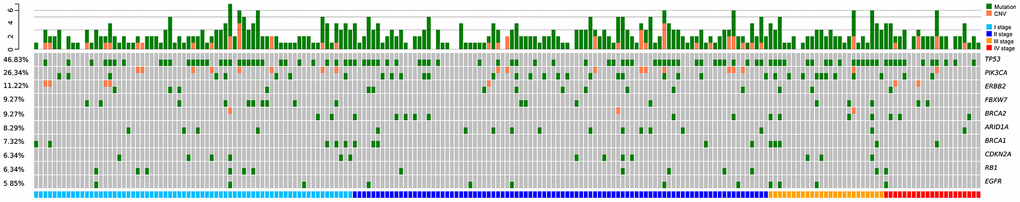 Low-frequency somatic mutations detected in DMI-tagged ctDNA from Chinese breast cancer patients. Mutational profiles derived from DMI-tagged ctDNA from stage I (blue), II (deep blue), III (yellow), and IV (red) breast cancers. Each column represents one patient. Different colors represent different types of mutations. Green and orange colors represent mutations and CNV, respectively. Each row represents one gene. The top bar graph denotes the number of mutations detected in each patient. The sidebar represents the proportion of patients with a mutation in a certain gene. CNV, copy number variation; ctDNA, circulating tumor-derived DNA; DMI, digital molecular identifier.