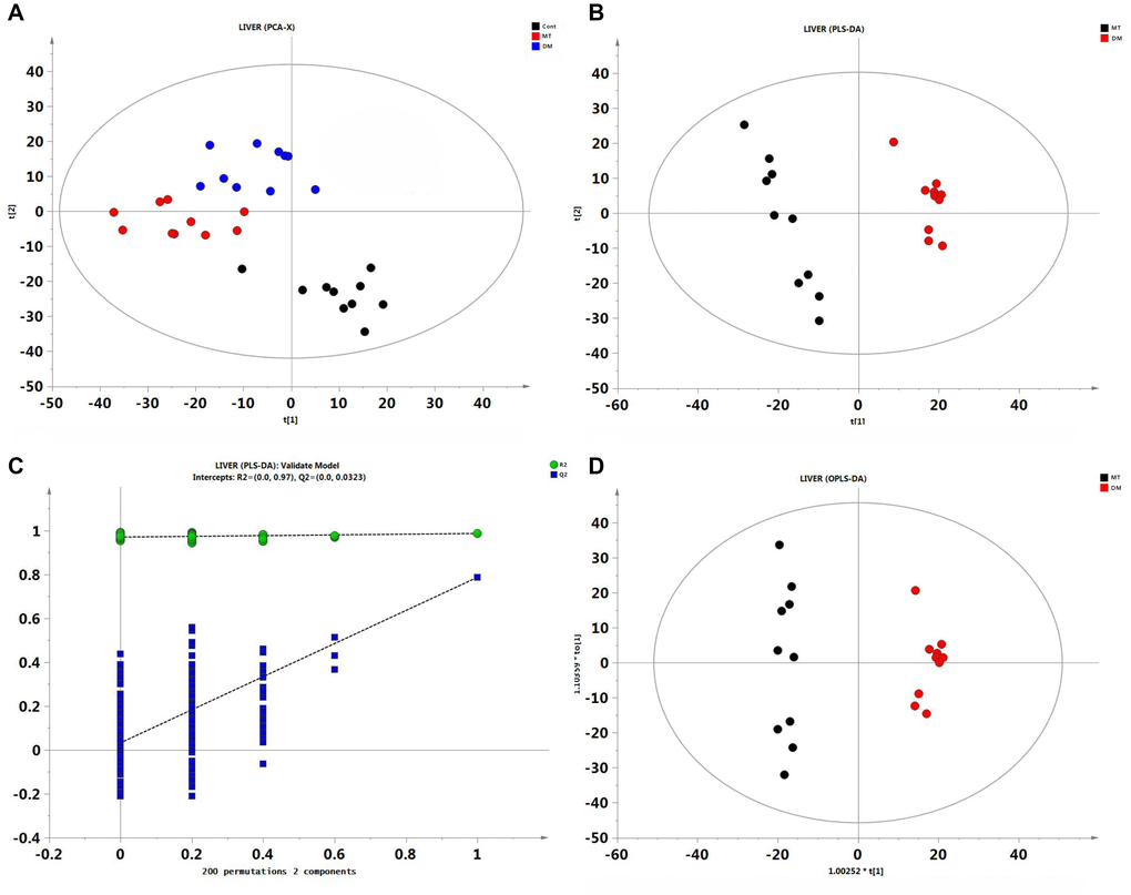 Multivariate statistical analysis of liver GC/MS data. (A) PCA score plot among control, DM and MT groups. (B) PLS-DA score plot comparing DM and MT groups. (C) The result of permutation test, R2 (green circle), Q2 (blue square). (D) PLS-DA score plot comparing DM and MT groups.