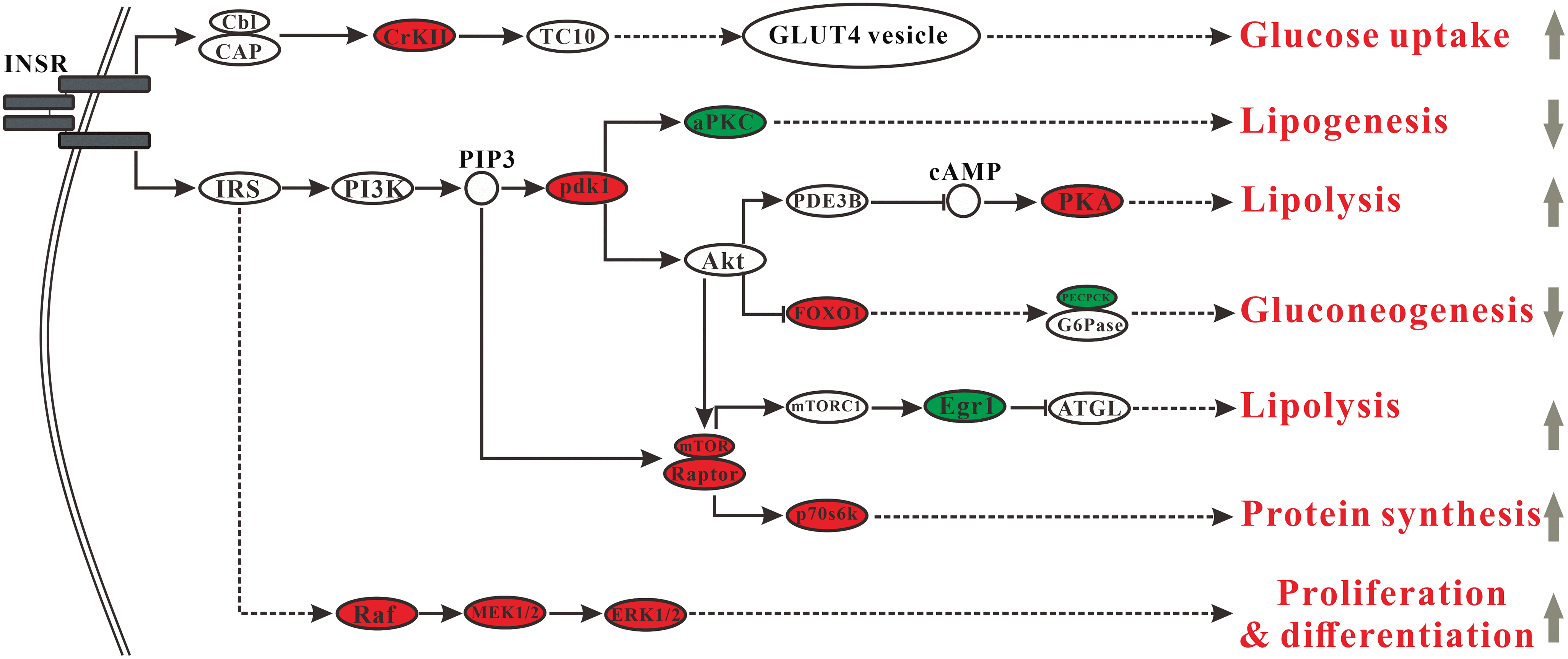 class="figure-viewer-img"