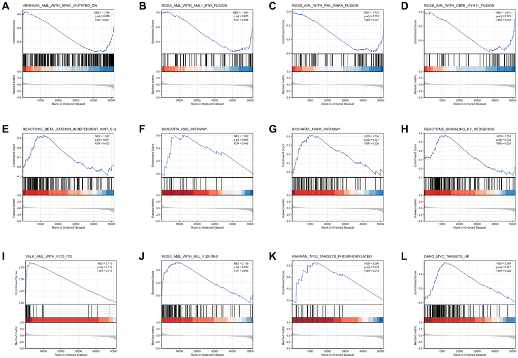 Enrichment plots from the gene set enrichment analysis (GSEA). (A–L) ES, enrichment score; NES, normalized ES; ADJ P-val, adjusted P-value.