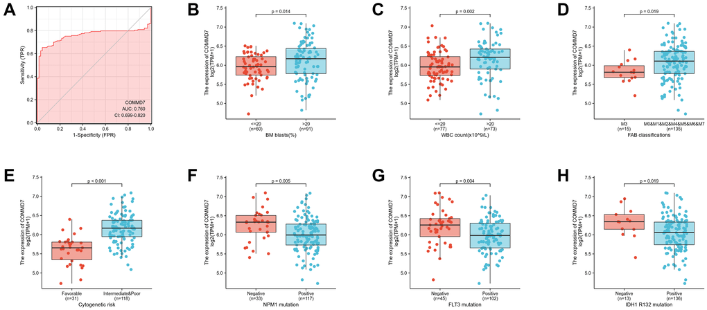 Association between COMMD7 expression and clinical features and cytogenetic risks. (A) The diagnostic efficacy of COMMD7 in acute myelogenous leukemia analyzed by ROC. (B–H) Association between COMMD7 expression and BM blasts (20%), WBC counts (20 × 109), FAB classification, cytogenetics risk, NPM1 mutation, FLT3 mutation, and IDH1 R132 mutation analyzed by using Wilcoxon Rank SUM test.