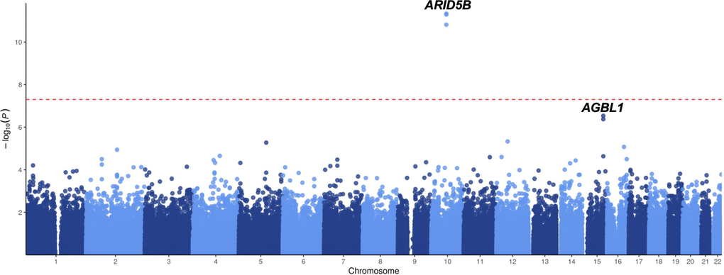 GWAS results of ALL susceptibility in all-age Chinese patients. Association between SNPs and ALL was evaluated in 466 ALL cases and 1,466 non-ALL controls. P value was estimated by logistic regression test and -log10 P (y-axis) were plotted against the respectively chromosomal position of each SNP (x-axis). Only genotyped but not imputed SNPs were illustrated.