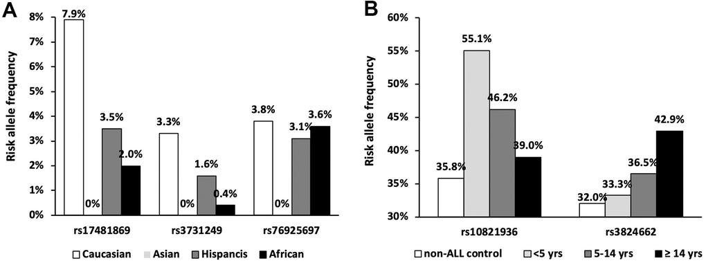 Frequency of the ethnic and age specific loci. (A) Risk allele frequencies were illustrated in SNPs with absent variant allele in Chinese population according to gnomAD database; (B) Risk allele frequencies of SNPs at ARID5B and GATA3 loci in patients with different age group.