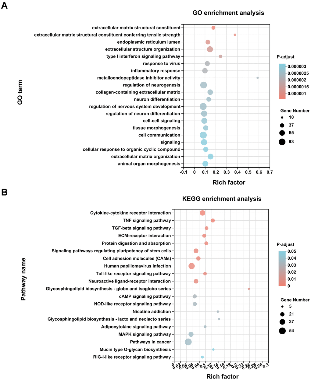 Enrichment analysis of DEGs. (A) GO enrichment analysis of differentially expressed genes (DEGs) was conducted with the top 20 ranked GO terms and shown as a bubble diagram. The vertical axis indicates GO terms and the horizontal axis represents the rich factor. The higher the rich factor, the stronger the enrichment score. The size of dots indicates the number of genes in the GO term, and the color of dots represents adjusted P for different terms. (B) KEGG enrichment analysis of DEGs was performed with top 20 ranked KEGG signaling pathways recognized and shown as a bubble diagram.