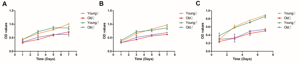 Growth curves of BMSCs, osteoblasts and osteocytes in aged rats and young rats. (A) Growth curves of BMSCs in aged rats and young rats; (B) Growth curves of osteoblasts in aged rats and young rats; (C) Growth curves of osteocytes in aged rats and young rats.