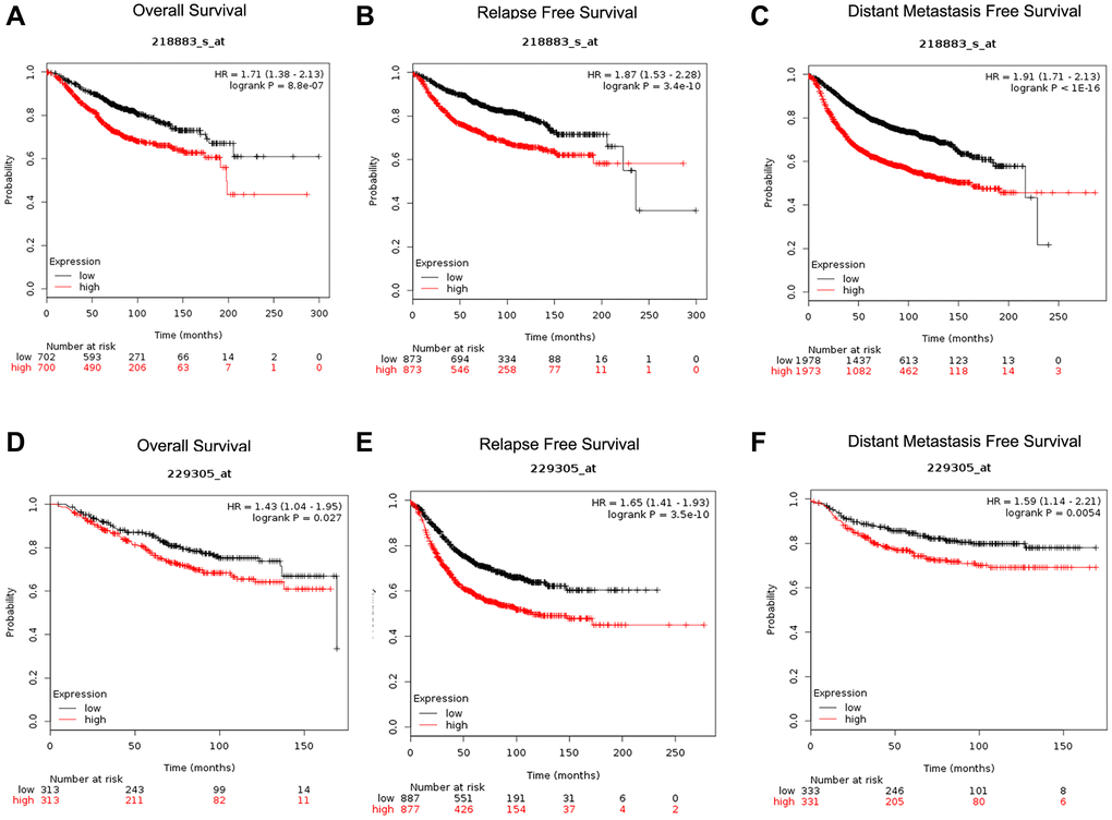 The Lncrna Gata3 As1 Mir 495 3p Cenpu Axis Predicts Poor Prognosis Of Breast Cancer Via The Plk1