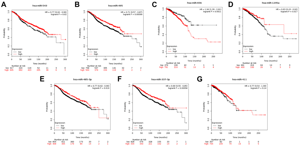 (A–G) Prognostic significance of the seven miRNAs that can potentially regulate CENPU expression in breast cancer analyzed by Kaplan-Meier plotter database.