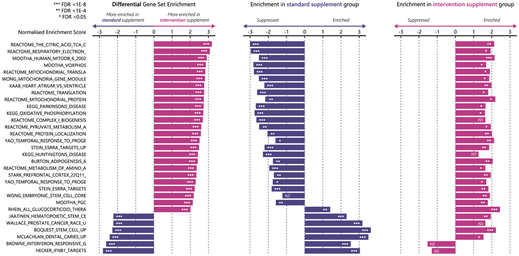 Enrichment of the top enriched gene sets (FDRClusterProfiler using MsigDB C2 Curated gene sets. From left to right, differential enrichment of gene sets, enrichment of these gene sets in standard supplement group (n=13, blue bars), and enrichment of these gene sets in novel supplement group (n=7, pink bars). FDR, false detection rate; NS, not significant.