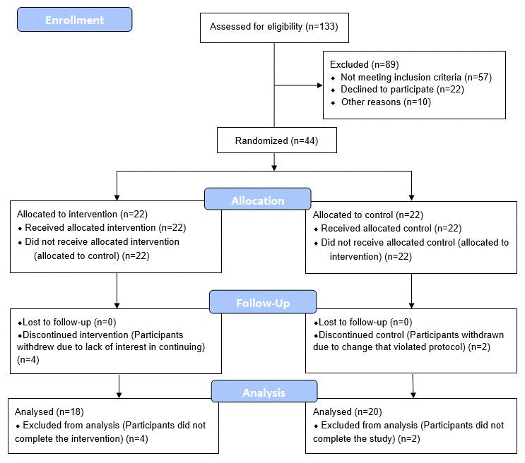 CONSORT 2010 flow diagram.