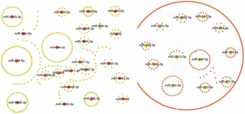 The regulatory network of pCRCSC-related miRNAs. Upregulated miRNAs are shown as red diamonds and the corresponding downregulated target genes in the TCGA database are shown as green ellipses. The downregulated miRNAs are shown as green diamonds and the corresponding upregulated target genes in the TCGA database are shown as red ellipses.