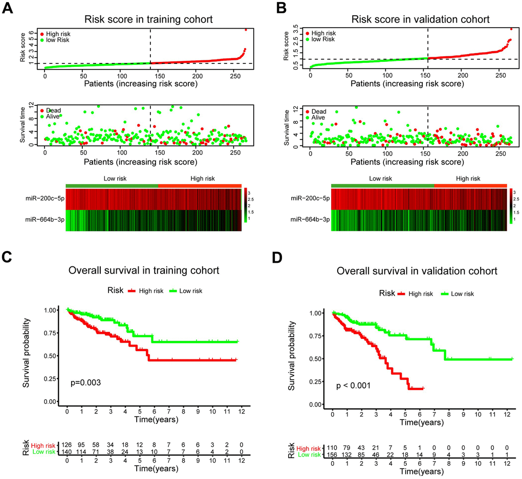 A prognostic model based on pCRCSC-related miRNA signature stratifies the OS in CRC patients. The distribution of risk score, overall survival (OS), OS status, and the heat map of prognostic pCRCSC miRNA signature in the training (A, B) validation cohorts. The dotted line indicates the cut-off point of the median risk score used to stratify the patients into low- and high-risk groups. Kaplan–Meier curves of OS for patients with CRC based on pCRCSC-related miRNA signature in the training (C, D) validation cohorts.