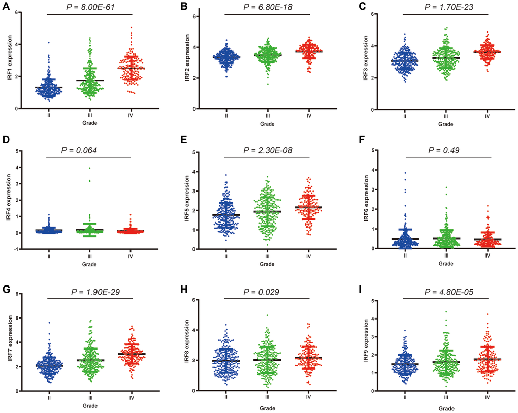 Correlations between differentially expressed IRF family members and pathological grade in glioma patients.*P **P ***P A) IRF1, (B) IRF2, (C) IRF3, (D) IRF4, (E) IRF5, (F) IRF6, (G) IRF7, (H) IRF8, (I) IRF9.