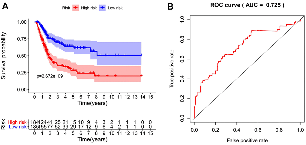 The evaluation of the IRGPI. (A) The Kaplan-Meier curves of OS for patients with high-risk scores (red line) and low-risk scores (blue line); (B) Verification of the accuracy of the IRGPI based on analysis of the AUC of the survival-dependent ROC curve.