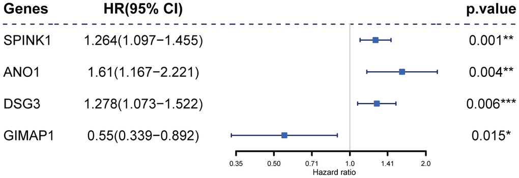 Construction of the prognostic four-gene signature using a Cox regression model.