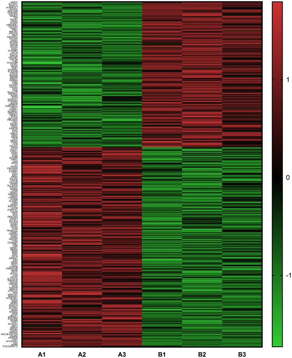 Heat map of the differentially expressed mRNA between neutrophils that were incubated with advanced glycation end products (AGEs) and neutrophils that were incubated with bovine serum albumin (BSA).