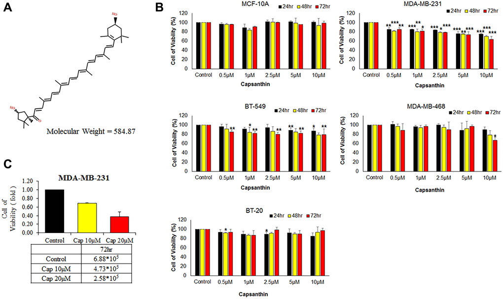 Effects of capsanthin on the viability of different human breast cancer cell lines and normal human mammary epithelial cells. (A) Chemical structure of capsanthin. (B) TNBC cells were treated with various concentrations of capsanthin for 24, 48 or 72 h and assessed for viability with the MTT assay. (C) Capsanthin inhibits the proliferation of MDA-MB-231 cells. The cells were treated with different concentrations of capsanthin for 72 h, after which the cells were counted. *P **P ***P 