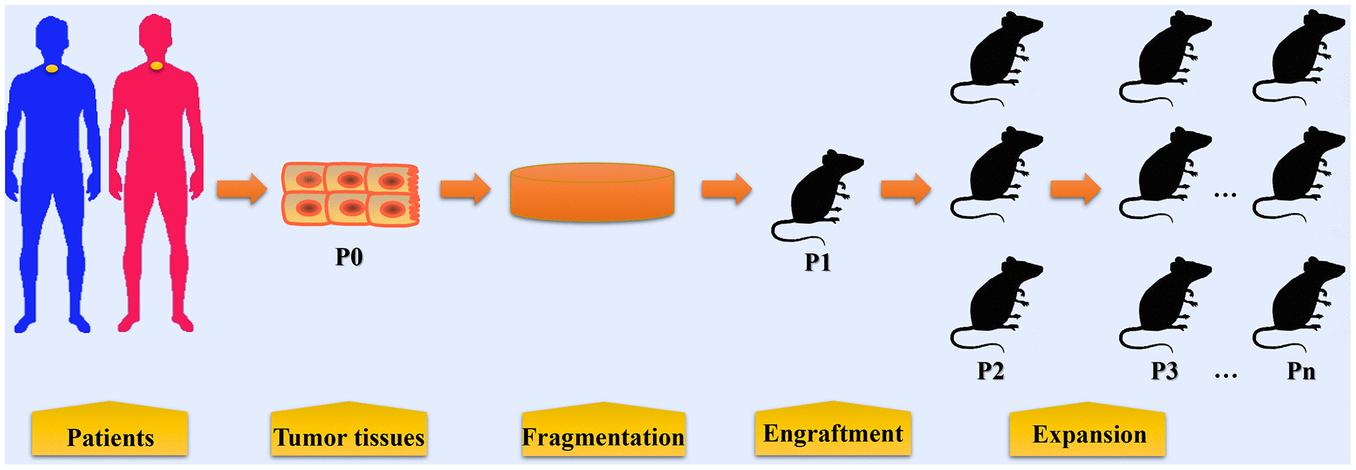 class="figure-viewer-img"