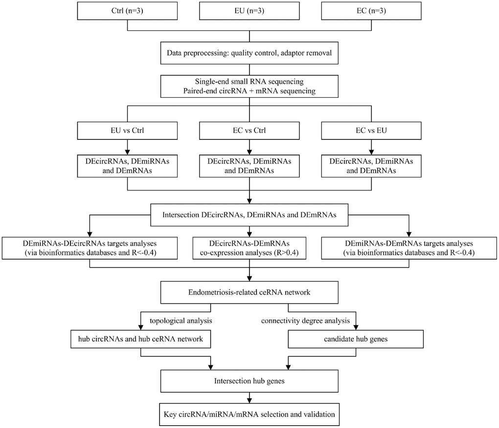 Flowchart of the data preparation, preprocessing and analysis strategy.