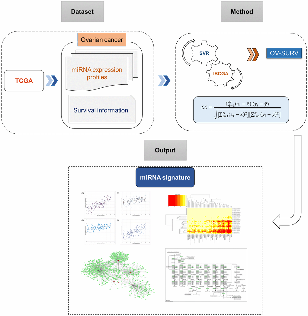 System flowchart of the current study describing the discovery of miRNA signature for predicting survival time in ovarian cancer.