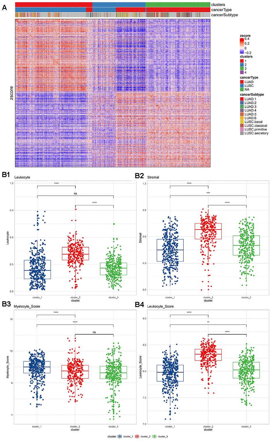 (A) Expression of immune-related genes in TCGA non-small cell lung cancer data. Pearson correlation distance and ward.D2 were used for unsupervised clustering. The top annotations represent the subgroups, cancer types, and TCGA cancer subtypes identified based on consistent clustering. (B) Lymphocyte and myeloid cell infiltration and stromal cell distribution among subgroups. (B1) Lymphocyte infiltration in different clusters; (B2) stromal cell distribution in different clusters; (B3) myelocyte infiltration score in different clusters; (B4) lymphocyte infiltration score in different clusters. The Wilcoxon rank-sum test (*, P