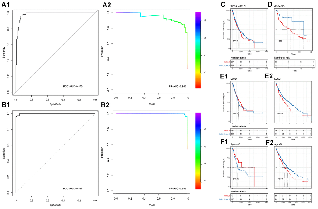 Subgroup prediction model based on binomial logistic regression and prognostic efficacy of immune subgroups. (A) Distinguishing the predictive power of cluster 2 from the other two groups. (B) Distinguishing the predictive power of cluster 1 from cluster 3. The upper part is ROC-AUC, and the lower part is PR-AUC. (C) In all NSCLC samples, immune subgroups cannot significantly distinguish the overall survival of patients. (D) In the GEO independent verification set, the immune subgroup can significantly distinguish the prognosis of patients. Among patients with lung squamous cell carcinoma (E) or those older than 60 years (F), immune subgroups can significantly distinguish the prognosis of the patients.