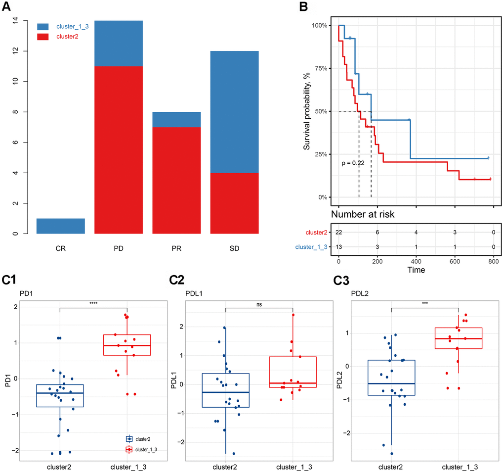 Correlation between immune subgroups and the efficacy of immunotherapy. (A) Efficacy of immunotherapy in different immune subgroups. (B) Progression-free survival in different immune subgroups. (C) Expression differences of PD-1 (C1), PD-L1 (C2) and PD-L2 (C3) in different subgroups.